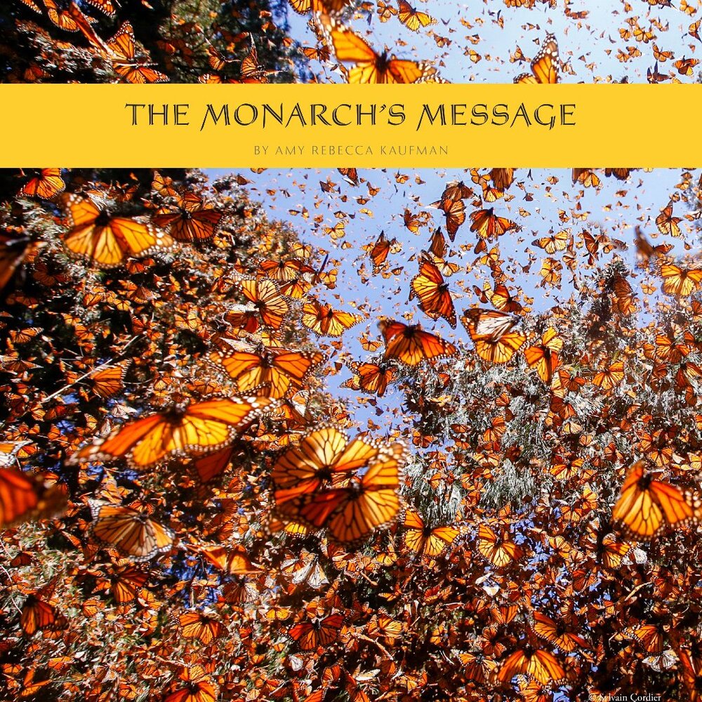TWO FOR ONE Gift for all ages & seasons! Photographic book on monarch migration